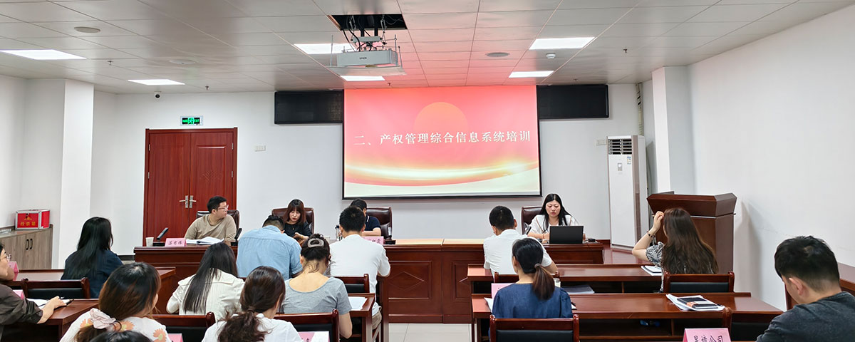 屯溪區國投集團開展國企政策文件學習與產權管理系統專題培訓會