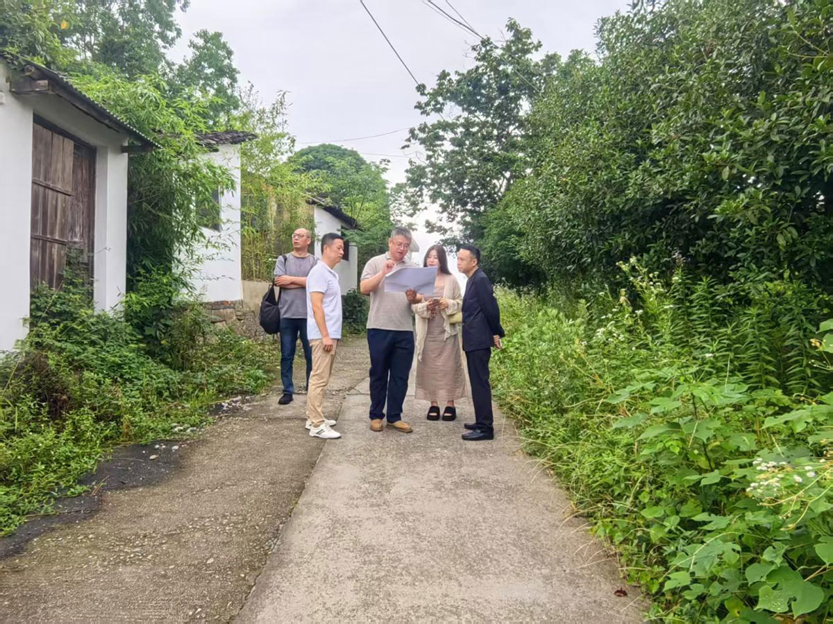 江蘇外聯采考察團到實驗茶場考察，共商茶產業合作新藍圖
