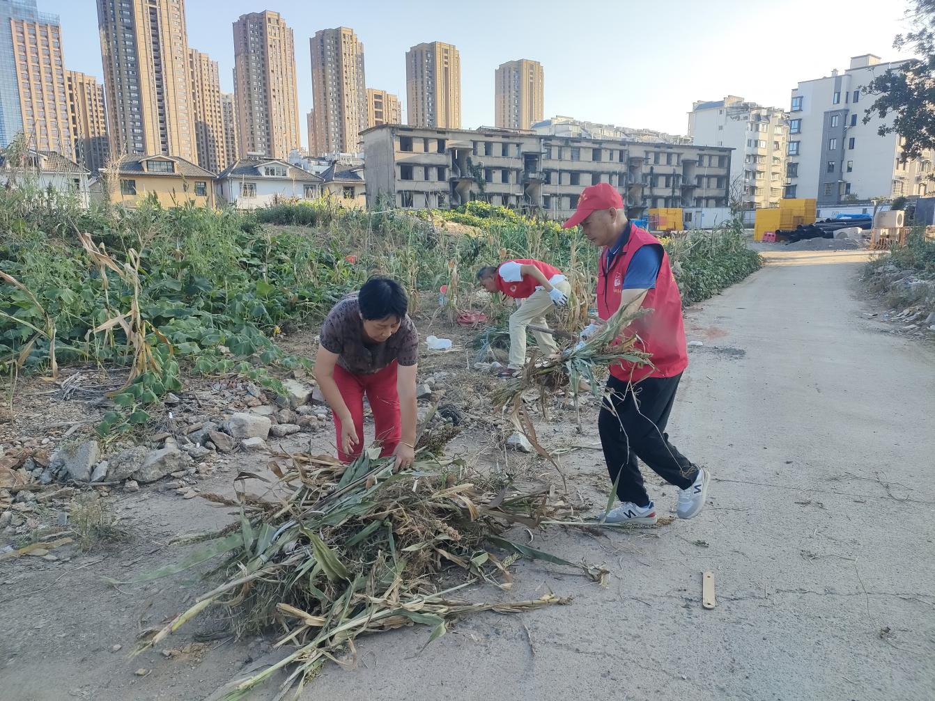 黨員進社區：守護綠色家園，彰顯國企擔當