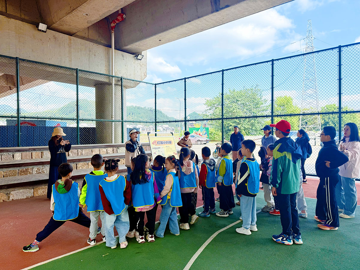 南溪南村：以薯為媒繪新景，活動賦能興鄉村
