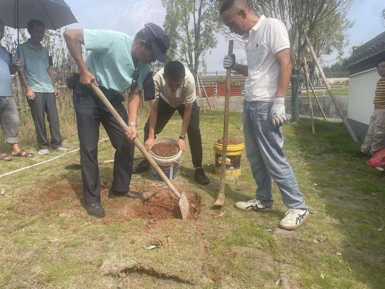 生態安葬樹新風 鋪青疊翠映文明
