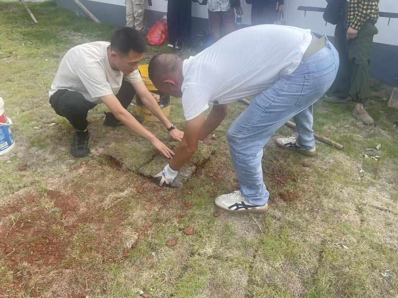 生態安葬樹新風 鋪青疊翠映文明