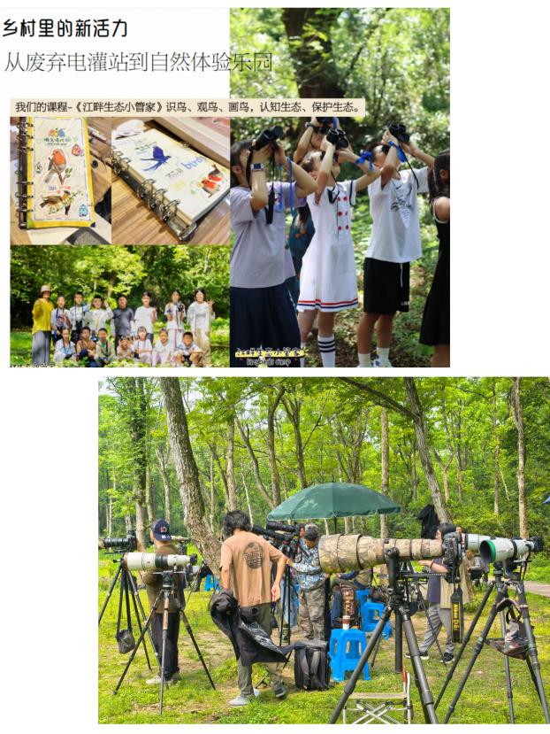 8000萬熱度炸屏！屯溪“護村小祖宗”聯動短劇頂級頭部平臺帶火綬帶鳥，短劇+文旅解鎖鄉村振興新密碼