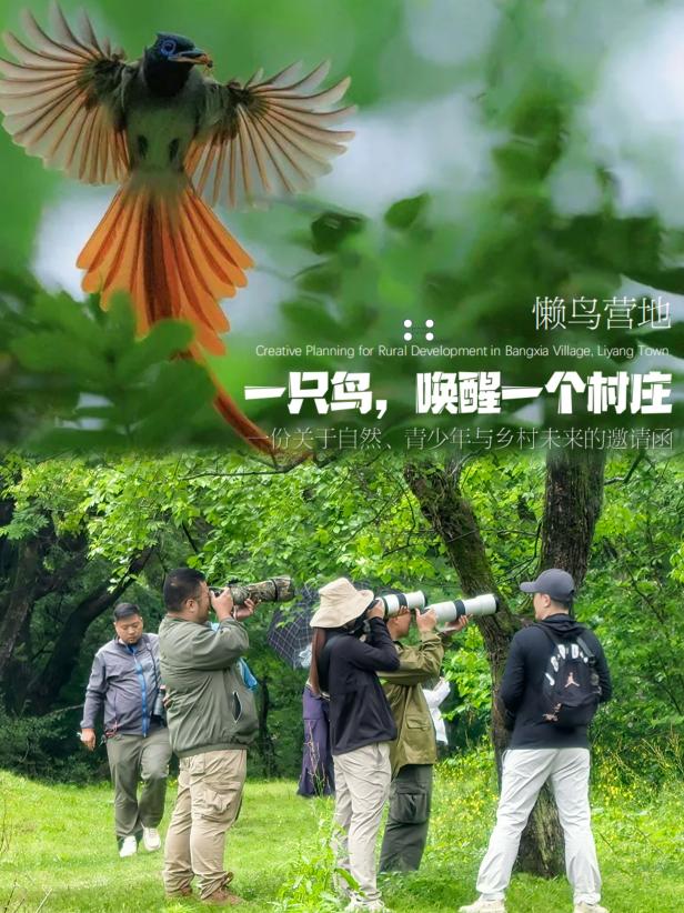 8000萬熱度炸屏！屯溪“護(hù)村小祖宗”聯(lián)動(dòng)短劇頂級(jí)頭部平臺(tái)帶火綬帶鳥，短劇+文旅解鎖鄉(xiāng)村振興新密碼